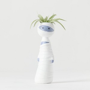 Halloween It's Giving Ghoul Mummy Live Houseplant - Good Little Garden™ - 1 of 4