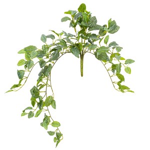 Vickerman Green Artificial Fittonia Bush - 1 of 3