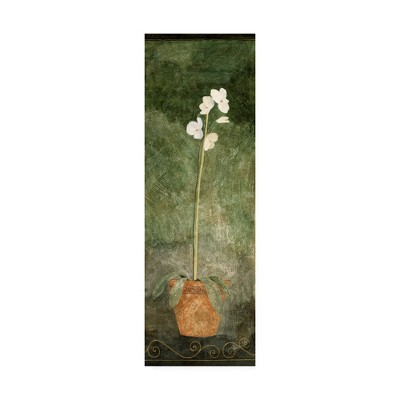 White Orchid in Terracotta Pot on Green Canvas Art