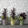 Crescent Garden Madison Double-Walled Planter Pot - 2 of 4