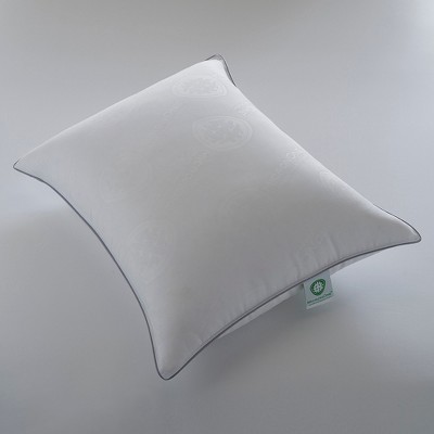 Queen White Hypoallergenic Down Pillow with MicronOne Shell