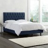 Skyline Furniture Edwardian Tufted Bed Velvet - 2 of 4