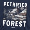Men's Petrified Forest National Park Majestic Blue Mesa Crewneck Sweatshirt - 2 of 4