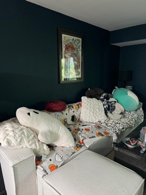 Guest review image 1 of 1, zoom in