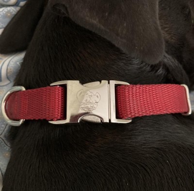 Country Brook Petz Deluxe Love And Peace Dog Collar - Made In The U.s.a. :  Target