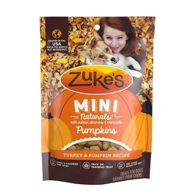 Zukes Pumpkin Flavor Mini Pumpkins Chewy Dog Treats - 5oz