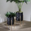 VisioGear 2PCS Planter with Metal Stand, Plant Pots for Hall, Living Room, Black & Gold, 14"*14"*23" - 2 of 4