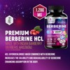 Premium Berberine HCL 1200mg Supplement - Berberine HCI Capsules High Absorption Supplement for Heart Health & Immune Support - 60 Capsules - 2 of 4