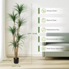 4 Ft Artificial Dracaena Tree, Realistic Fake Dracaena Plant, Tall Dracaena Houseplant for Indoor Décor - 2 of 4