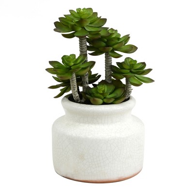 Vickerman 11" Artificial Green Succulent in Round Ceramic Pot.