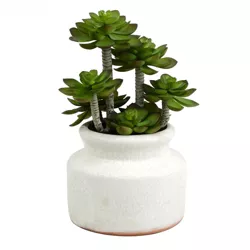 Vickerman 11" Artificial Green Succulent in Round Ceramic Pot.