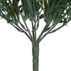 Vickerman 18" Artificial Mini Green Jade Leaf Bush UV Coated, Set of 3 - 4 of 4