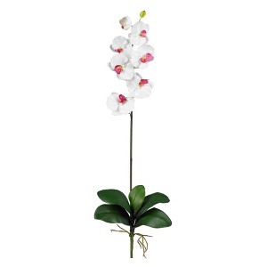Nearly Natural Phalaenopsis Stem (Set of 6), White - 1 of 1