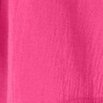raspberry sorbet