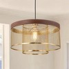 C Cattleya 16-inch 1-Light Brass Gold Mesh Pendant Light with Leather Accent - 2 of 4