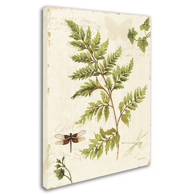 Trademark Fine Art -Lisa Audit 'Ivies and Ferns I' Canvas Art
