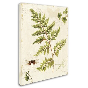 Trademark Fine Art -Lisa Audit 'Ivies and Ferns I' Canvas Art - 1 of 3