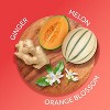 Calgon - Hawaiian Ginger, Fragrance Body Mist, 8 Oz - 2 of 4