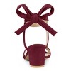Allegra K Women's Back to College Open Toe Ankle Tie Back Block Heels Sandals - 3 of 4