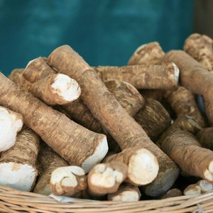 Van Zyverden 5ct Horseradish Plant Root - 1 of 4