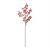 Fall Berry Spray (Set of 6) - 2 of 3