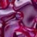 grape