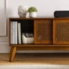 SKRAN 59 Inch Mid Century Modern Rattan TV Stand for 65 Inch TV, Media Console for Living Room Media Room, Wood Feet & Rattan Doors - 4 of 4