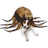 Zack & Zoey Fuzzy Tarantula Costume for Dogs - 2 of 4