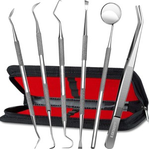 Professional Stainless Steel Dental Hygiene Kit - 1 of 4