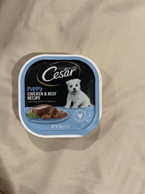 Cesar Classic Loaf In Sauce Wet Dog Food Chicken Beef Recipe