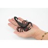 Collectible Wildlife Gifts | Scorpion, Black and Red, Arachnids, Museum Quality, Rubber Inscect, Model, Hand Painted Gift,   4"   CH184 BB113 - 3 of 4