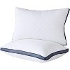 Aghana Digitals Luxury Queen Size Bed Pillows Set of 2 for Side Sleepers - 2 of 4
