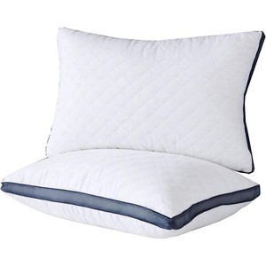 Aghana Digitals Luxury Queen Size Bed Pillows Set of 2 for Side Sleepers - 1 of 4