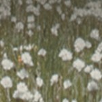 farmhouse gray