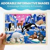 QUOKKA 24-48 pcs Wooden Puzzle Set - 4x Jigsaw Puzzle for Kids 4 5 6 Year Old - 4 of 4