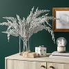 Silver Cypress Stem - Threshold™ - 2 of 3