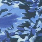 navy watercolor floral