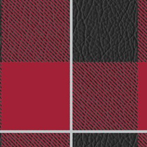 alabama crimson tide