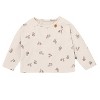 Modern Moments by Gerber Baby Boys' 2-Piece Raglan Top and Pant Set - 3 of 4