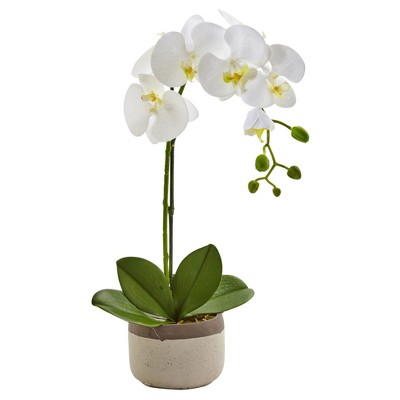 Phalaenopsis Orchid in Ceramic Pot - Nearly Natural