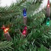 Northlight 100ct Multi-Color Mini Christmas Lights - 35ft, Brown Wire - 3 of 4