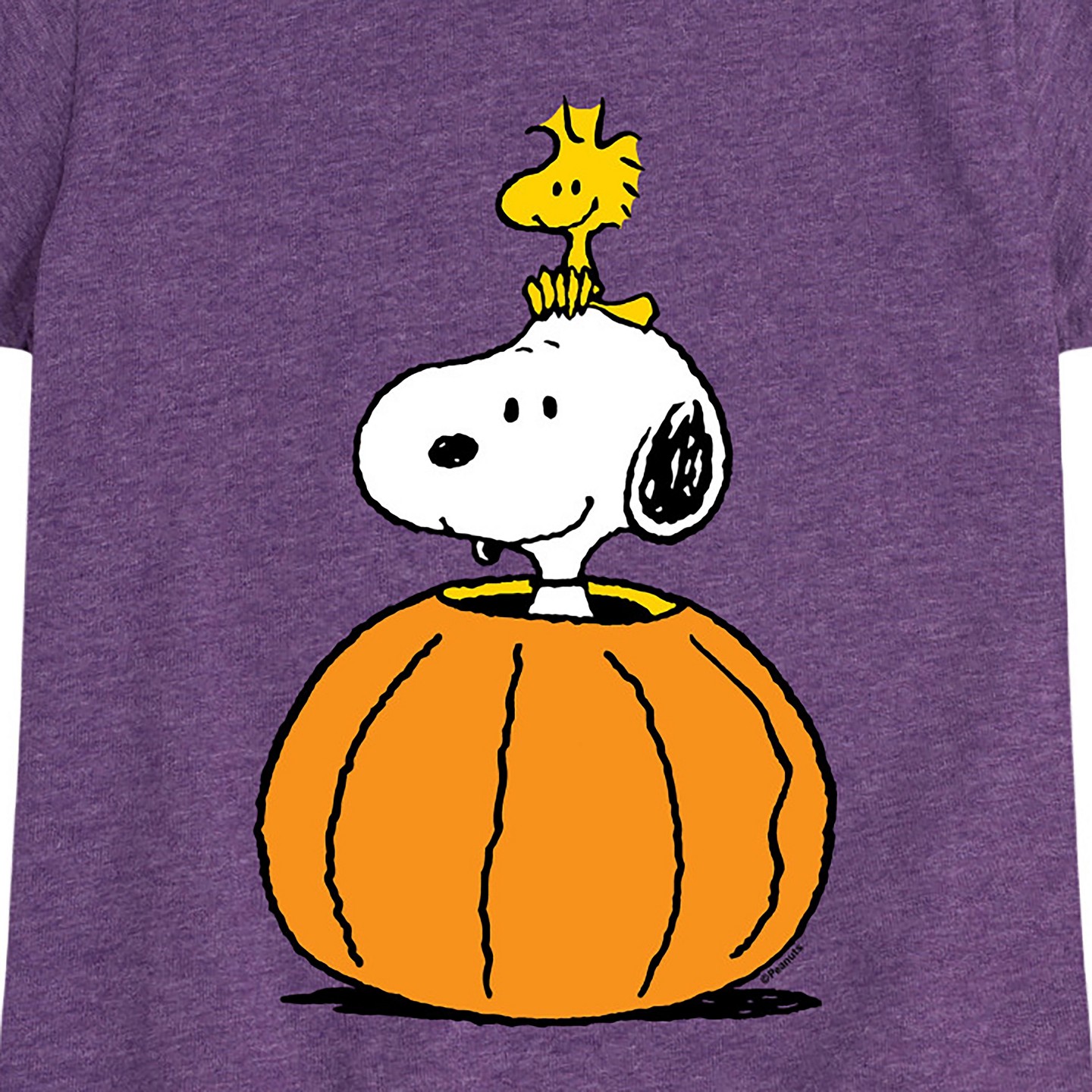 Футболка Peanuts Snoopy Woodstock Pumpkin Fitted Short Sleeve Graphic T-Shirt - Heather Purple для девочек, цвет: Меланжевый фиолетовый — фото 2