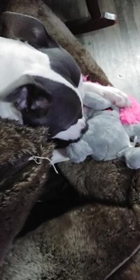 Guest review image 1 of 3, zoom in