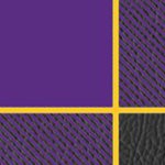 louisiana state university tigers