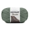 Bernat Blanket Big Ball Yarn 24 Pack-Smoky Green - 2 of 4