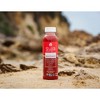 Suja Vibrant Organic Probiotic Fruit Juice - 12 fl oz - image 2 of 4