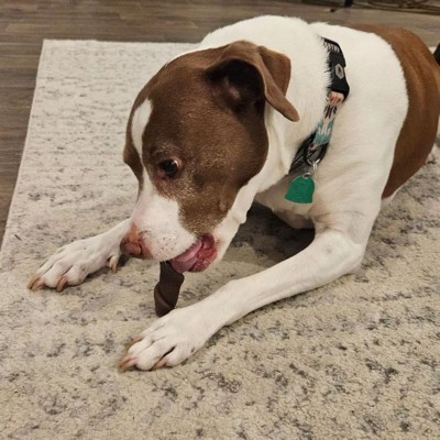 Guest review image 1 of 3, zoom in