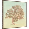 Amanti Art Sea Fern II by Julia Purinton Framed Canvas Wall Art - 3 of 4