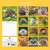 2026 Square Wall Calendar, Hedgehogs, 16-Month Animals Theme with 180 Reminder Stickers (12x12 In) - 4 of 4