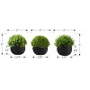 NicBex Set of 3 Succulent in Cement Pots, 6"H Faux Fake Plants Artificial Plants Indoor, Tabletop Greenery for Desk, Shelf & Windowsill Decor - 4 of 4